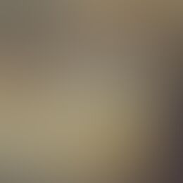Целитель, знахарь, ведающий. Оплата по результату, Мадрид