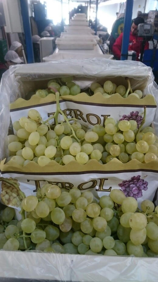Продаем виноград из Испании, Аликанте